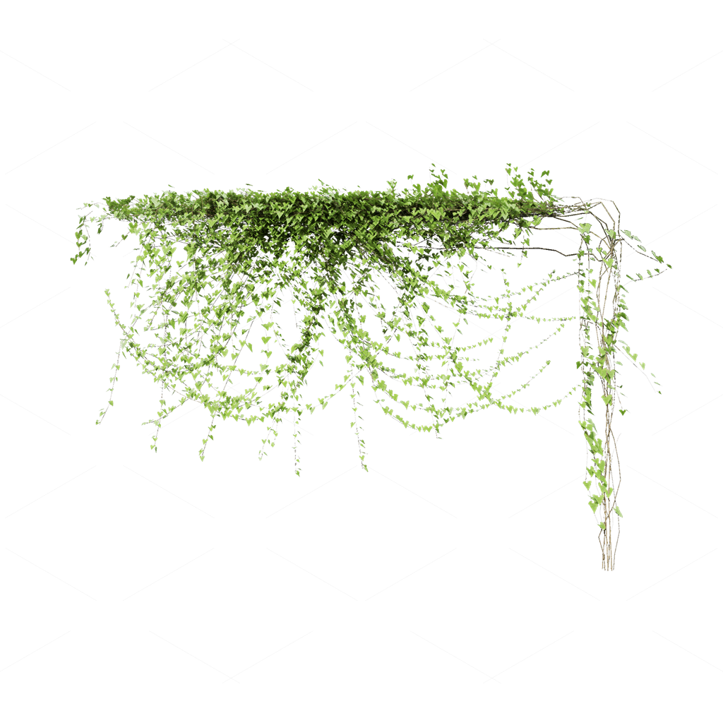 Climbing Plants 3D Models
