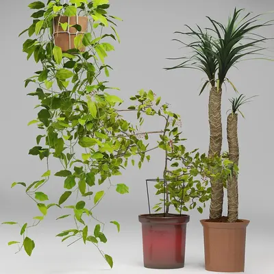 Modern Indoor Aerial View