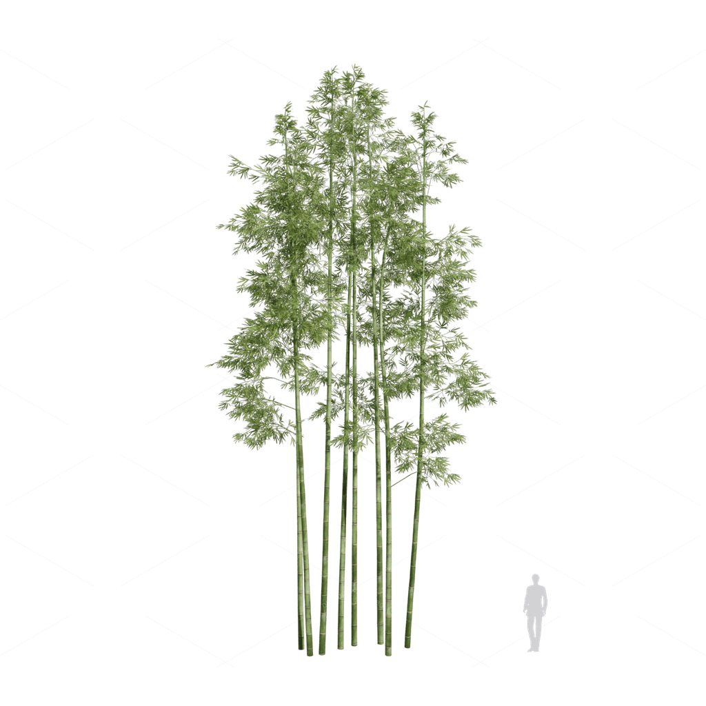 Other Botanicals 3D Models