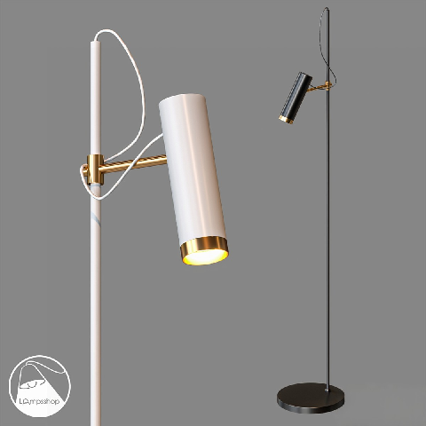 Modern Floor Lamp