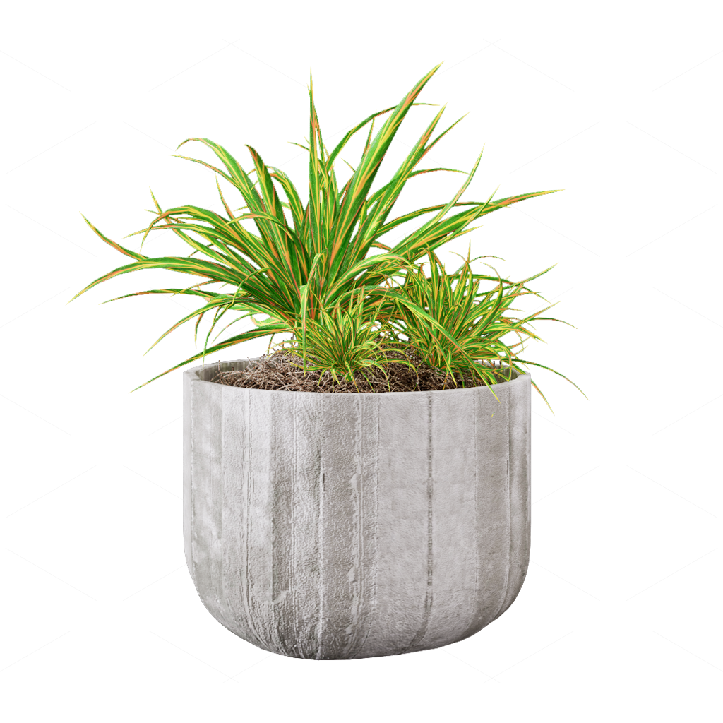 Greenery 3D Models