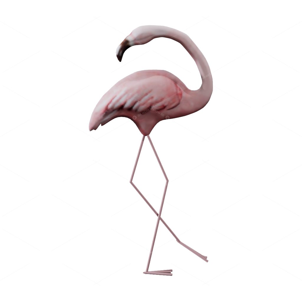 Other Decorations 3D Models