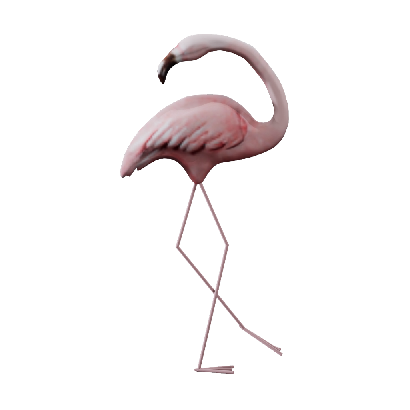 Other Ornaments Northern Flamingo