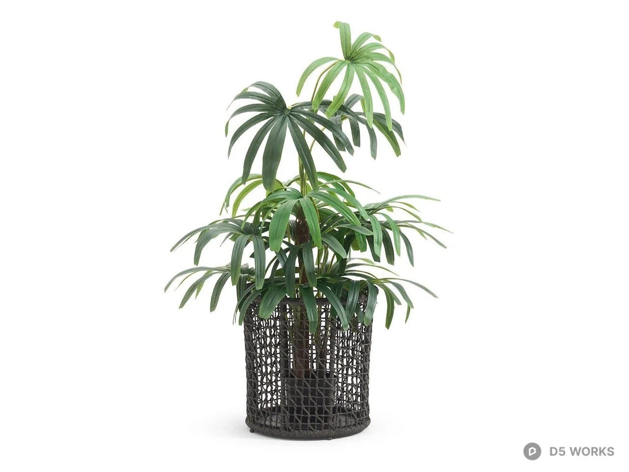 Potted Palm Plant In Woven Basket 3d model - Image 1