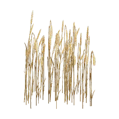 Wheat-shaped Landscape Light