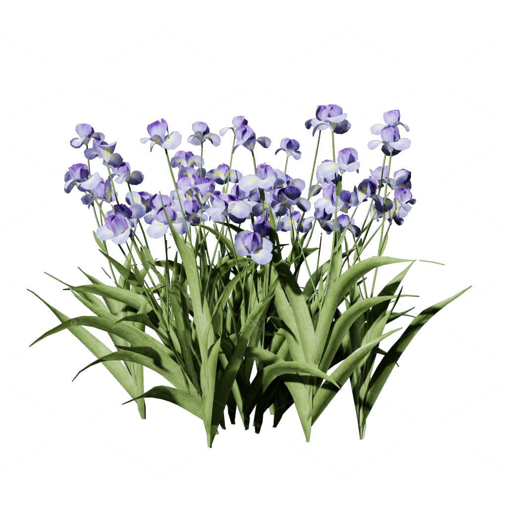 Flowers 3D Models