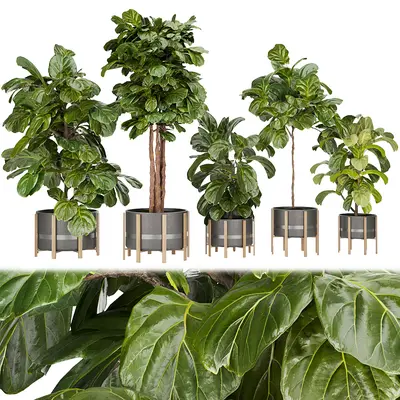 Potted Plant 3d model