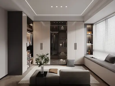 Modern Walk-in Closet