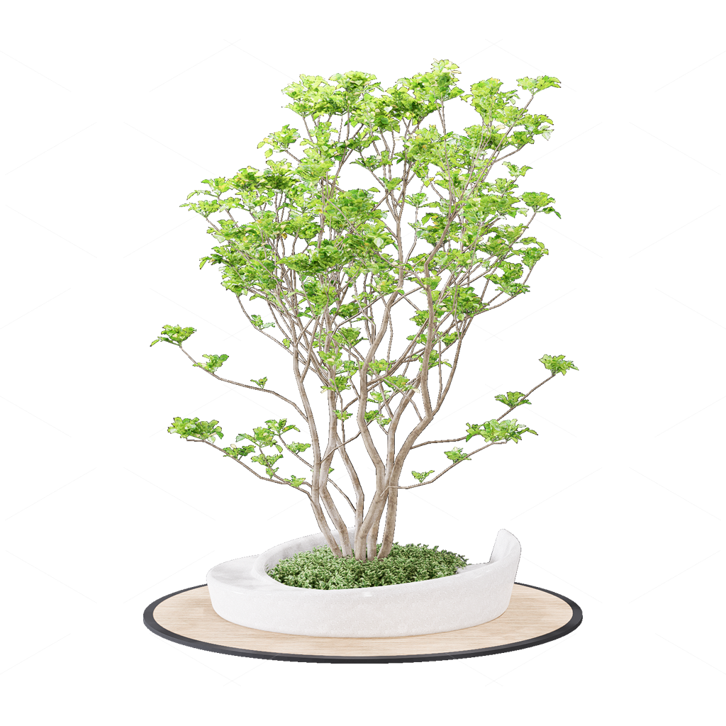 Greenery 3D Models