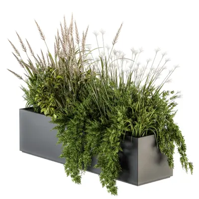 Modern Potted Plant