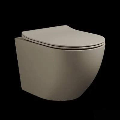 Modern Toilet