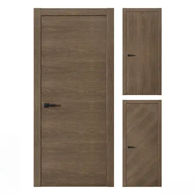 Modern Single Door