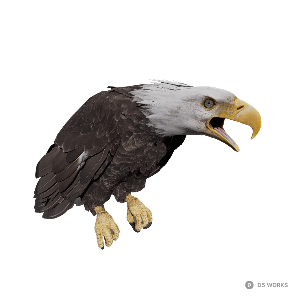 BaldEagle Calling 3d model - Image 1