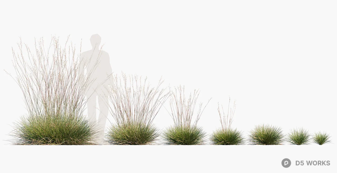 Ornamental Grasses And Groundcover Arrangement 3d model - Image 1
