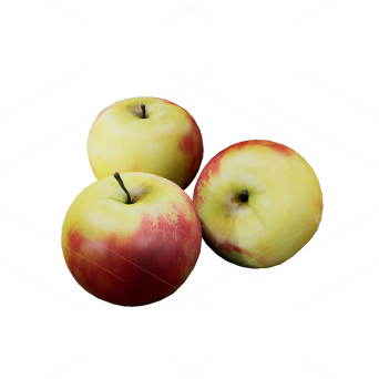 Other Kitchen Supplies 3D Models