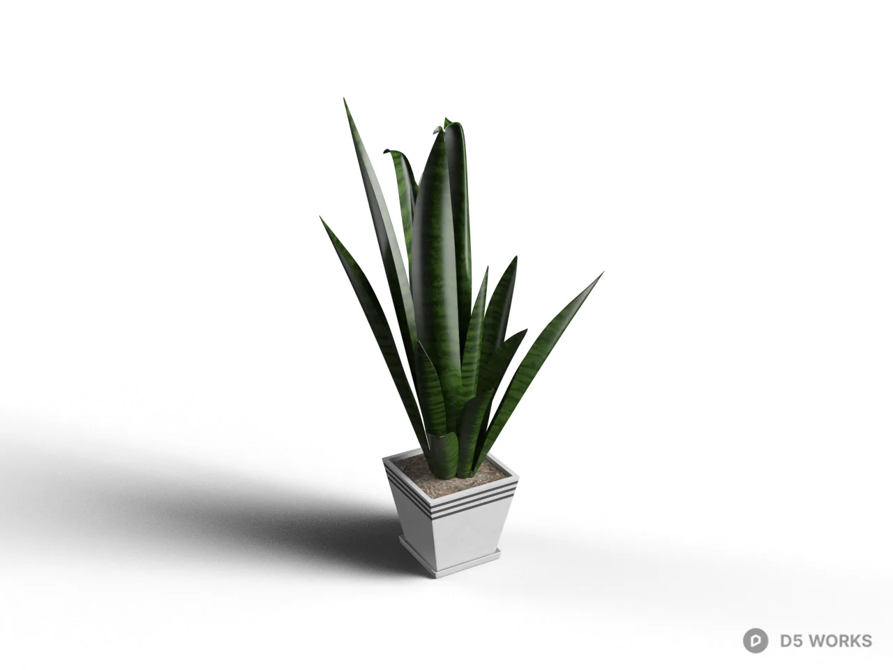 Succulent Plant In White Ceramic Pot 3d model - Image 1