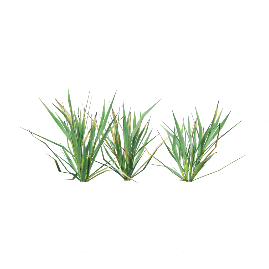 Crops 3D Models