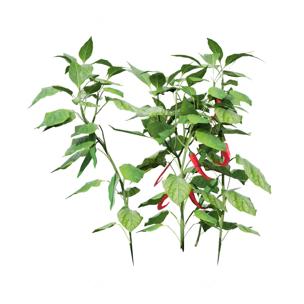 Crops 3D Models