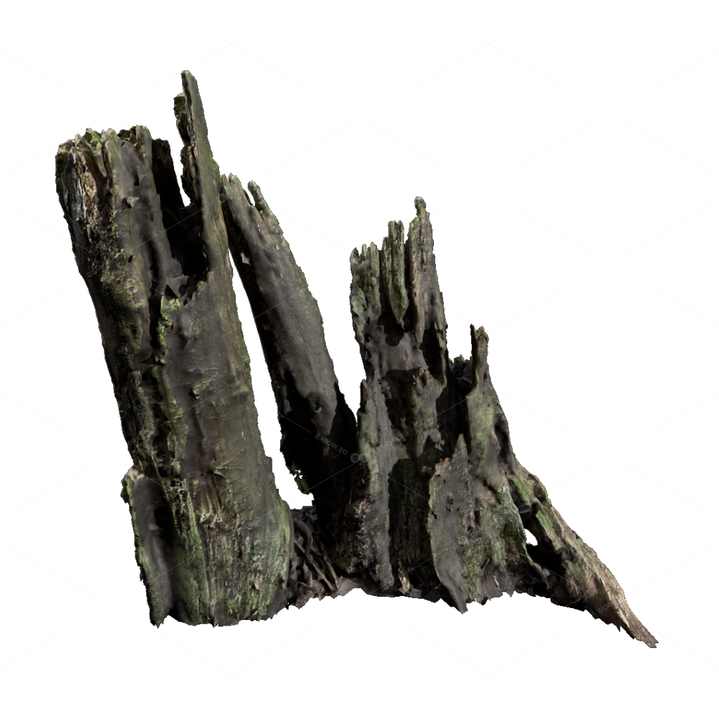 Other Botanicals 3D Models