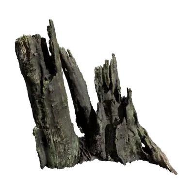 Dead Tree Stumps 22