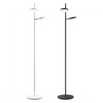 Modern Floor Lamp
