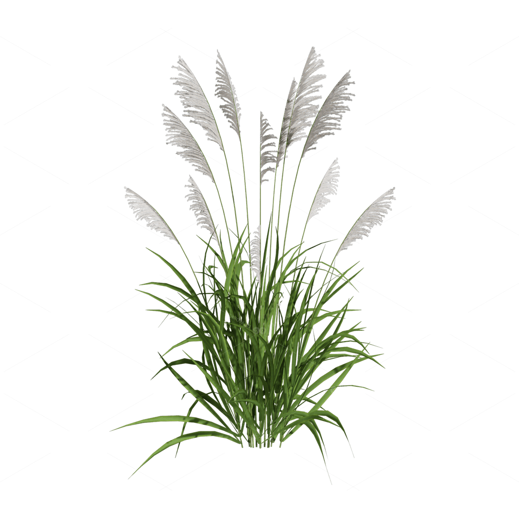 Flowers 3D Models