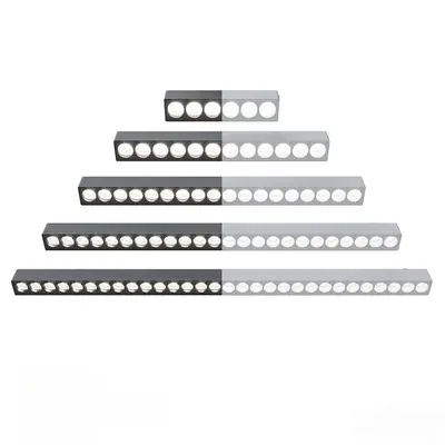 Modern Louvered Light