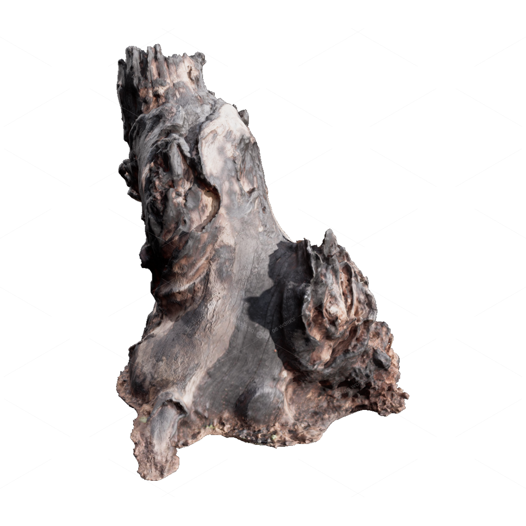 Other Botanicals 3D Models