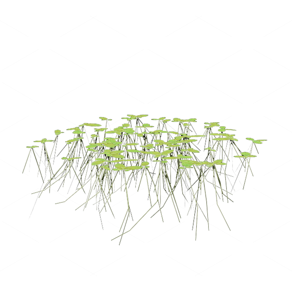 Aquatic Plants 3D Models