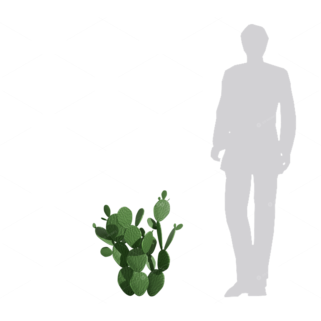 Xerophyte Plants 3D Models
