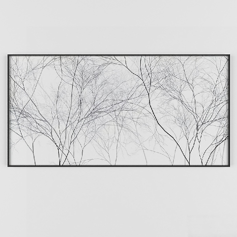 Modern Picture Frames