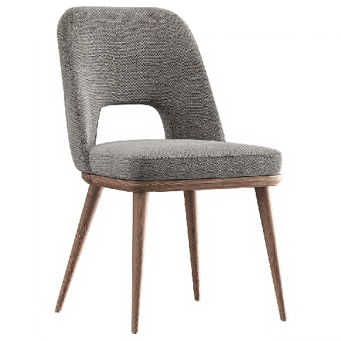 Modern Dining Chair