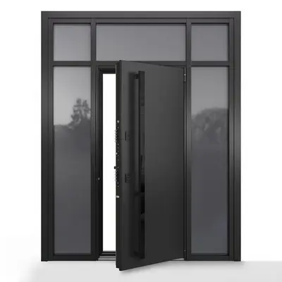 Matte Black Pivot Door With Frosted Glass Panels 3d model