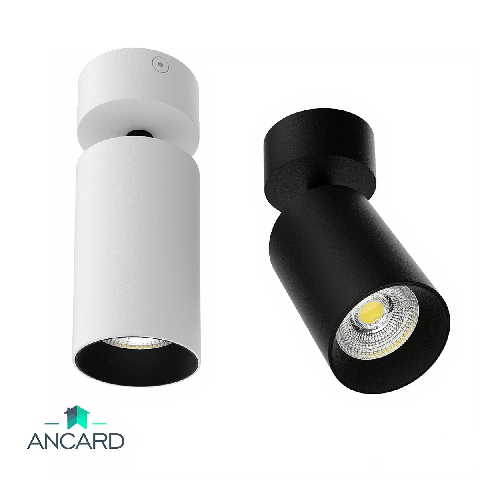 Modern Downlight & Spotlight