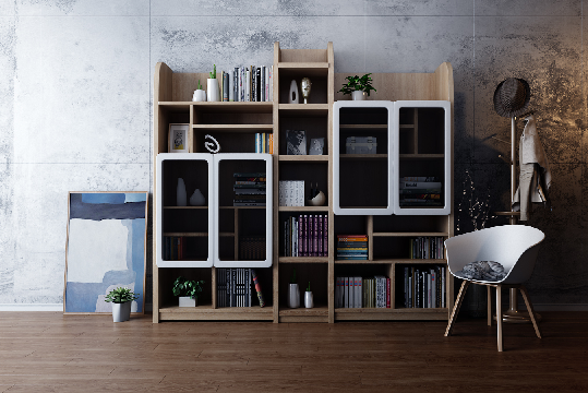 Modern Bookcase