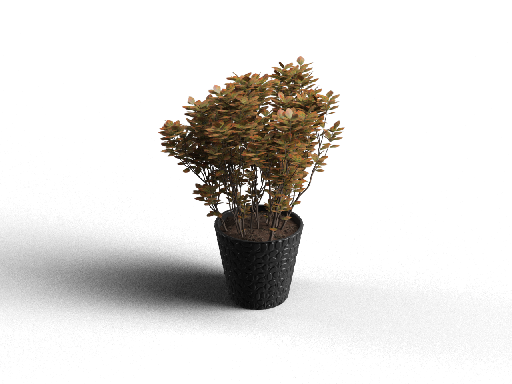 Modern Potted Plant