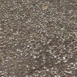 Muddy Ground Dark Gravel Ground