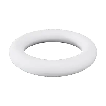 Torus 3d model