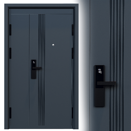 Modern Single Door 