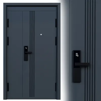Modern Minimalist Steel Door With Vertical Groove Design 3d model