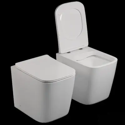 Modern Toilet
