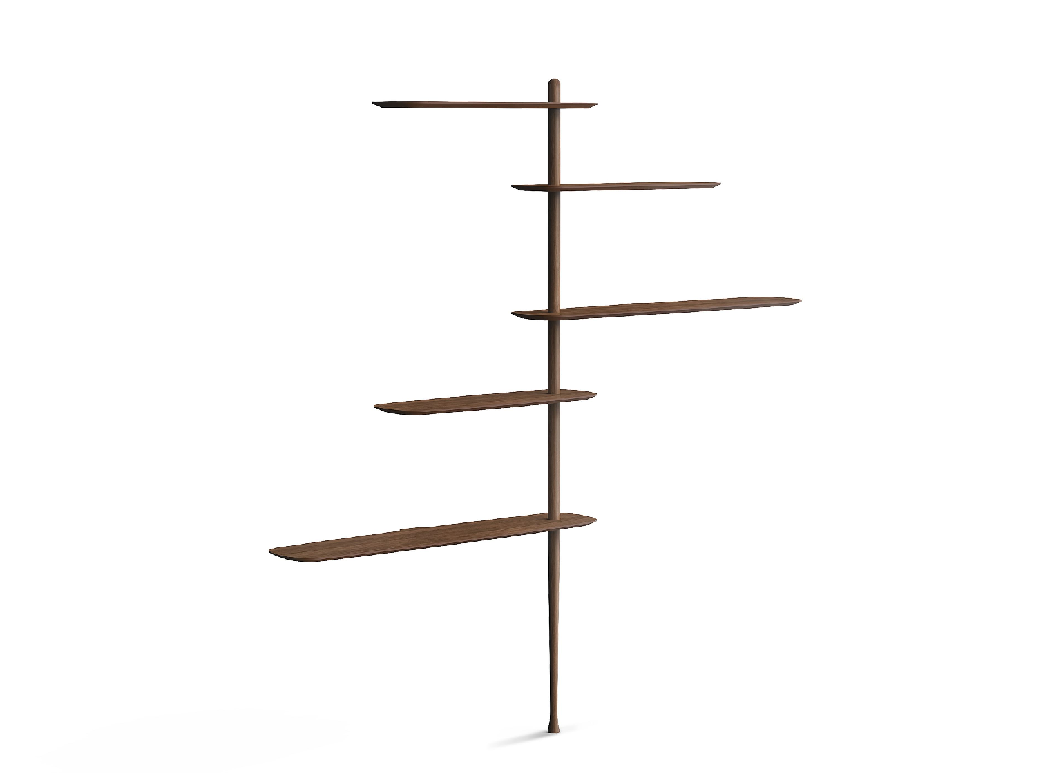 Modern Bookshelf Cabinet
