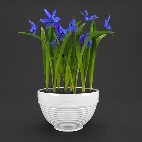 Modern Potted Plant