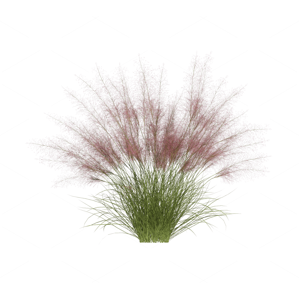 Flowers 3D Models