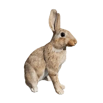 Rabbit idle 2 3d model