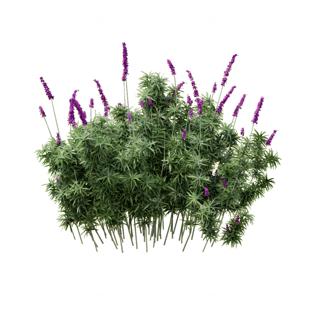 Flowers 3D Models