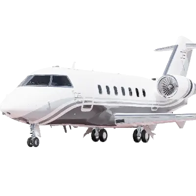 Business Jet 01 3d model