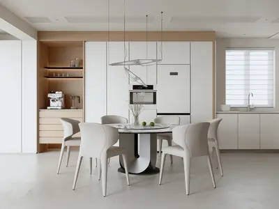 Contemporary Dining Room (Home)