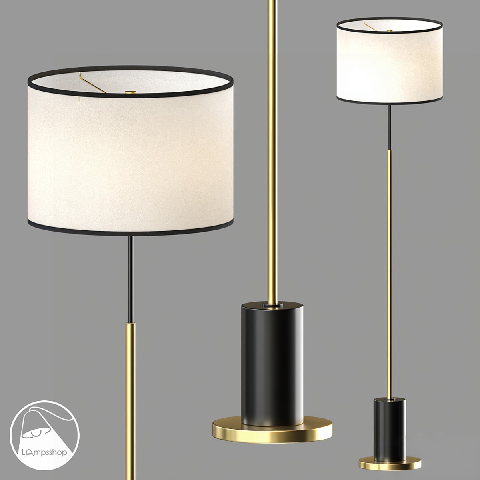 Modern Floor Lamp