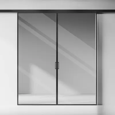 Sliding Door